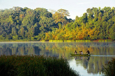 A view of Cat Tien National Park where construction of Dong Nai 6 and 6A Hydropower Plants is scheduled (Photo: SGGP)